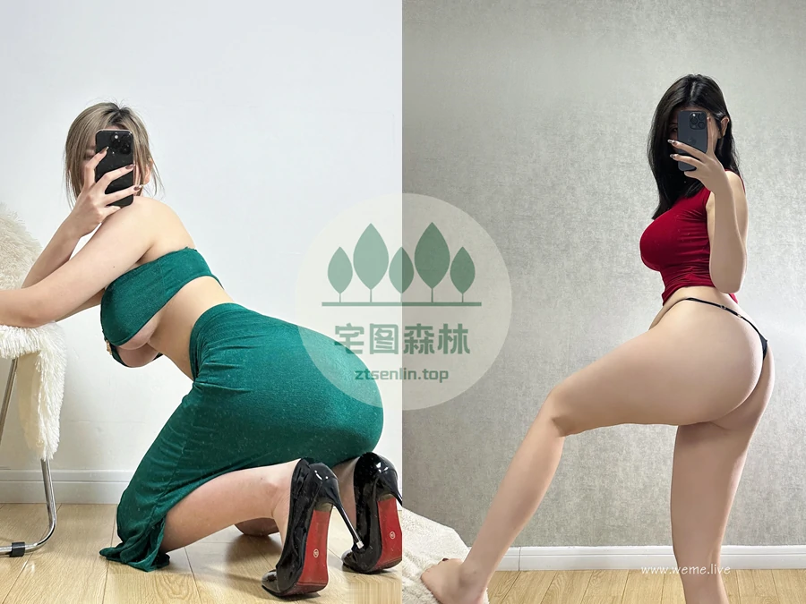 乙醇子微密圈写真合集资源打包下载[81套]-第2张-宅图森林写真资源合集下载