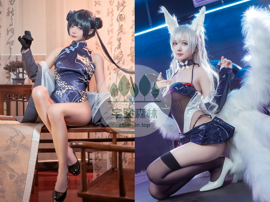 艾西aiwest写真合集下载&汇总[21套-3.9G]-第1张-宅图森林写真资源合集下载