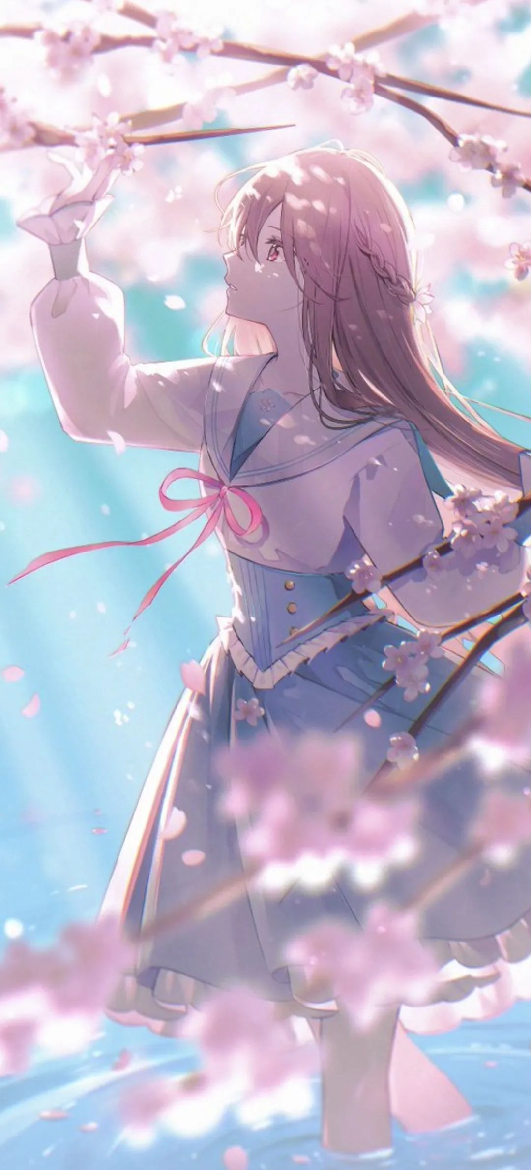 动漫壁纸 | 撒下梦想的种子，静候花开