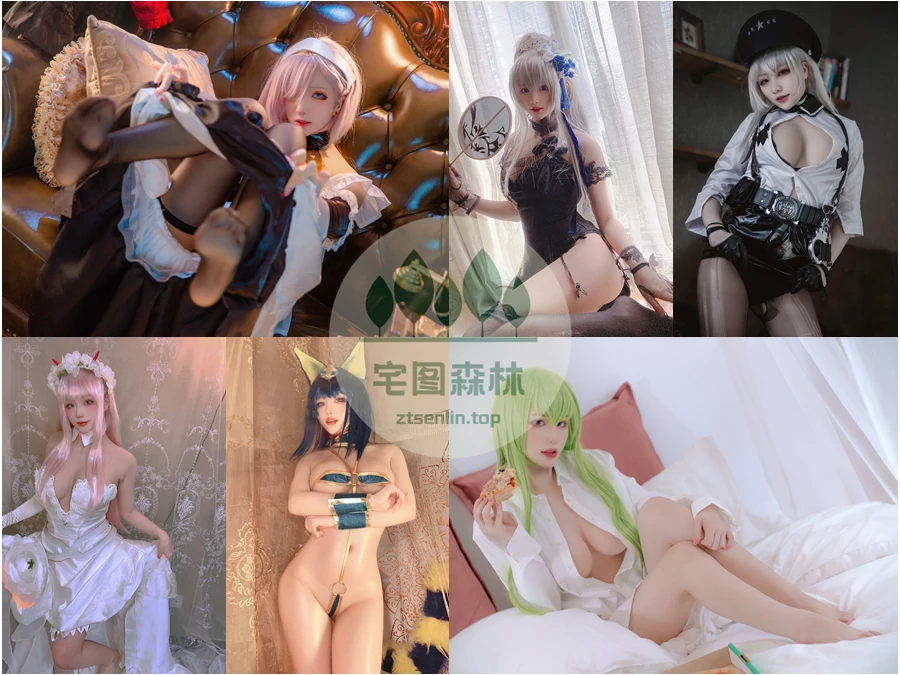 起司块wii写真合集下载&汇总[34套-14.5G]-第1张-宅图森林写真资源合集下载