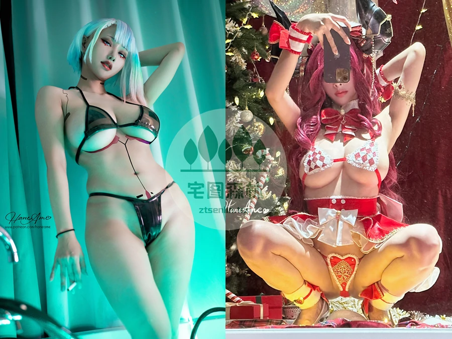 coser写真雨波HaneAme写真合集下载&汇总[485套-114.6G]-第11张-宅图森林写真资源合集下载