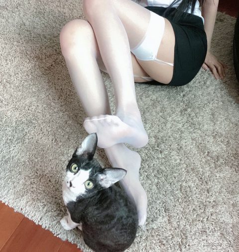 图片[6]-51酱 – 全套19期&随包视频[4.6G-2025.12]-cosers写真次元网